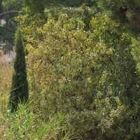 Photo de France - Le Canal du Midi et le tunnel du Malpas